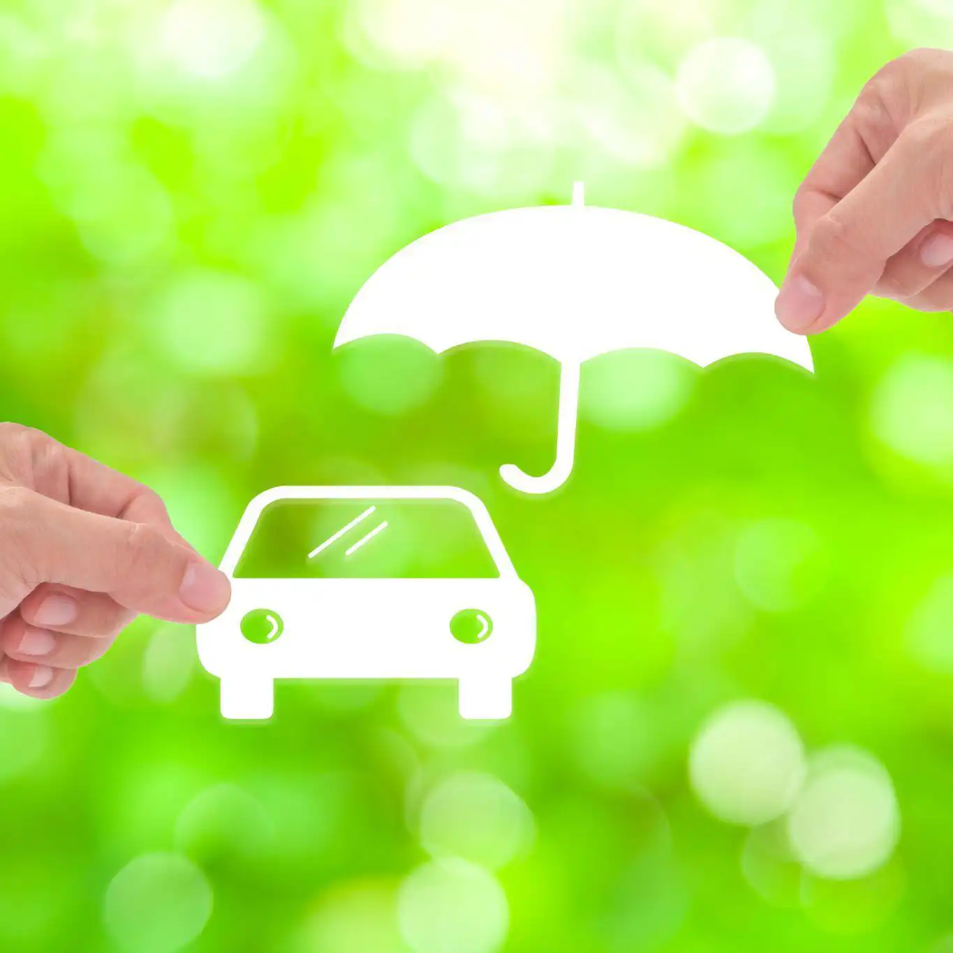 how-del-toro-insurance-is-committed-to-eco-friendly-auto-insurance-practices