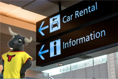 Car Insurance