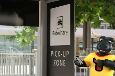 Rideshare Insurance