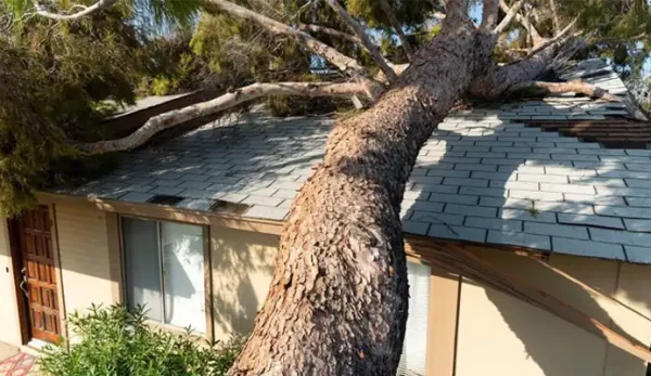 house-damaged-1-e1680052055775
